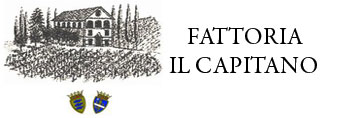 Fattoria del Capitano (Azienda Agricola Balbi)